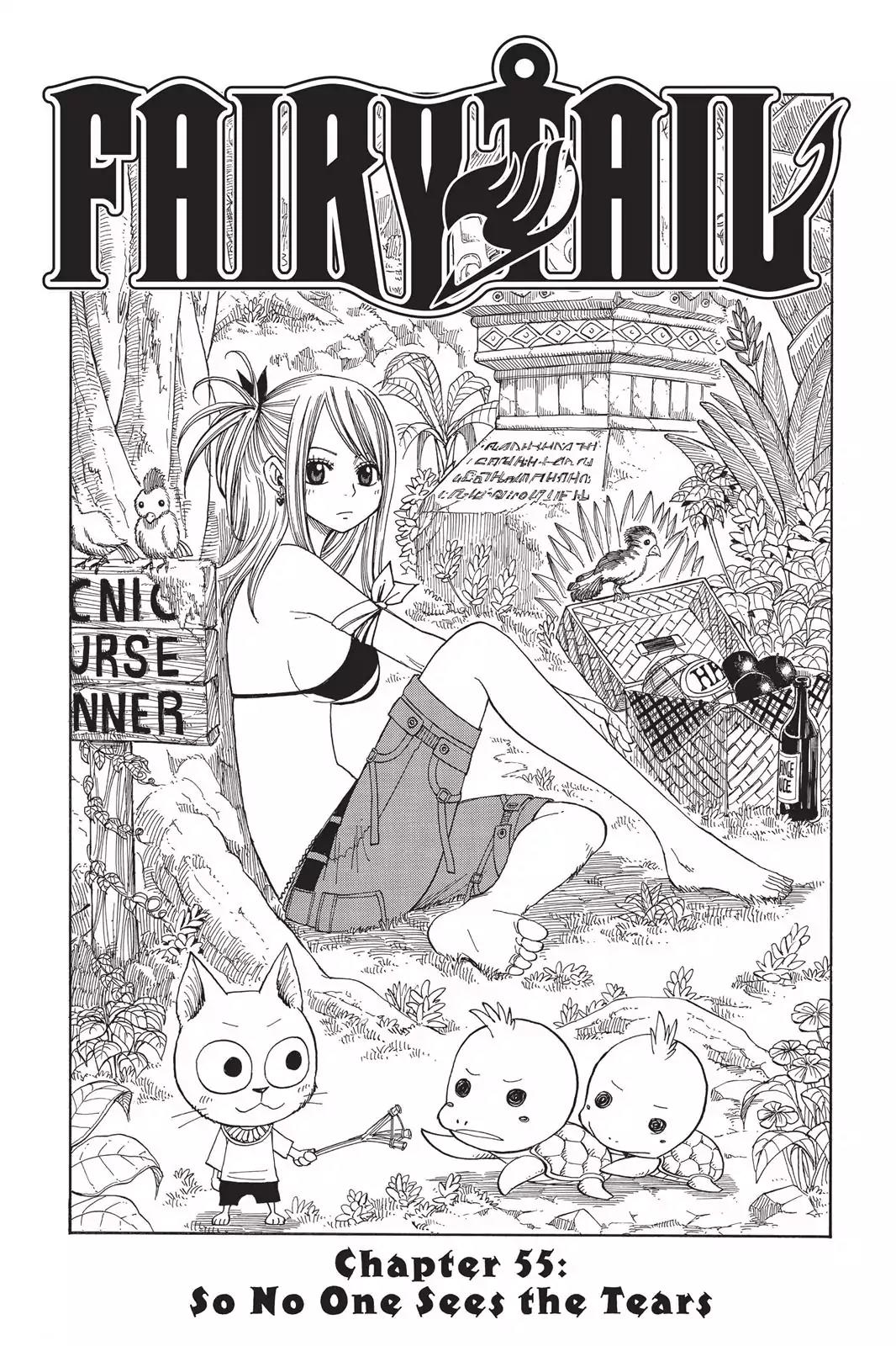 Fairy Tail Chapter 55 page 1 - Chapter 55: So No One Sees The Tears