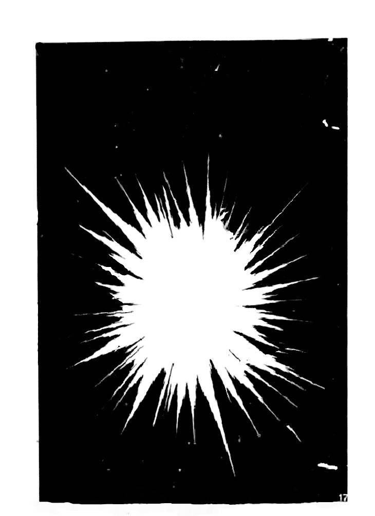 Falls in Love with 300-Year-Old Girl Chapter 18 page 35 - Chapter 18