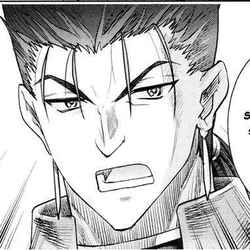 Fate/Stay Night Chapter 41: Twin Swords cover