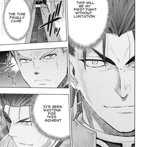 Fate/Stay Night Chapter 43: Extra Work V : Howl cover