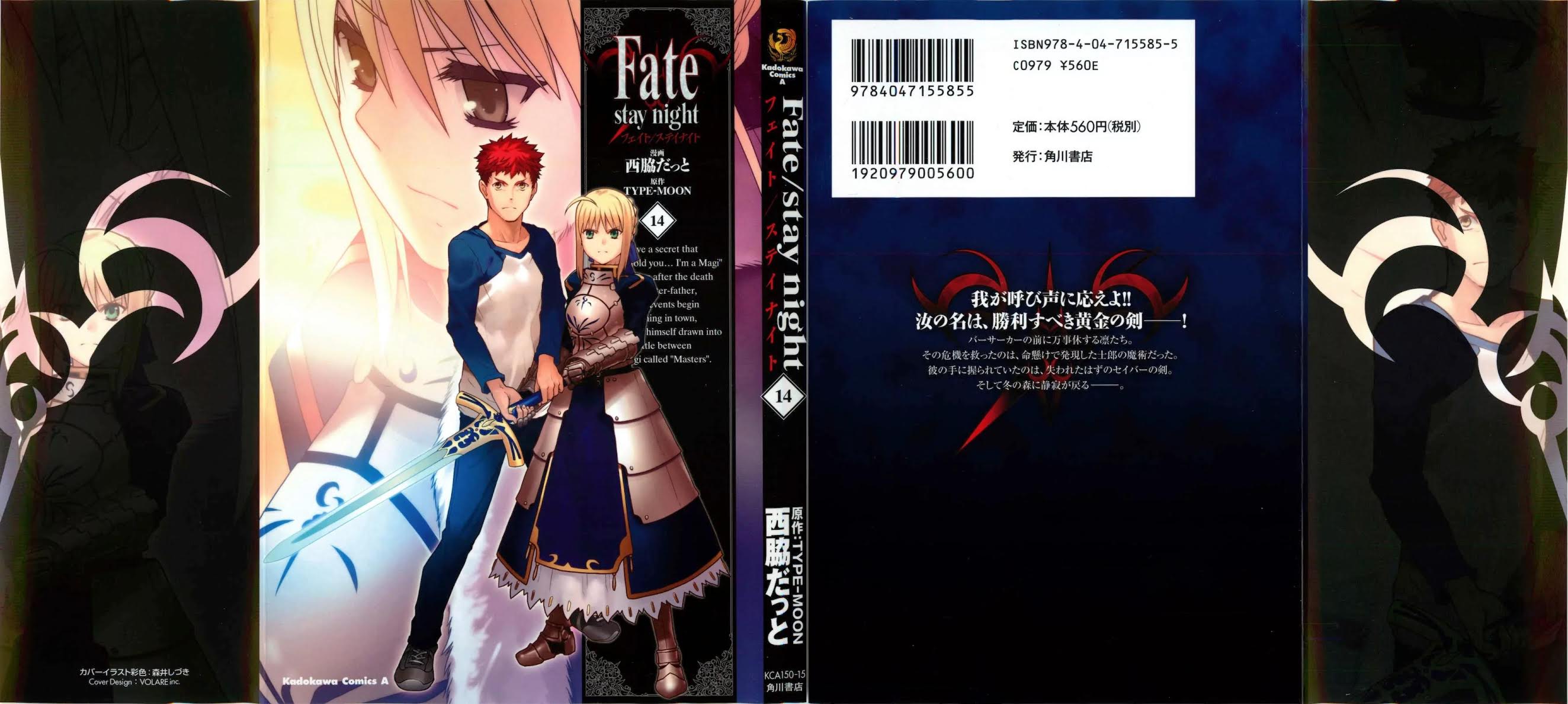 Fate/Stay Night Chapter 60 page 3 - Chapter 60: Golden Sword of the Victorious