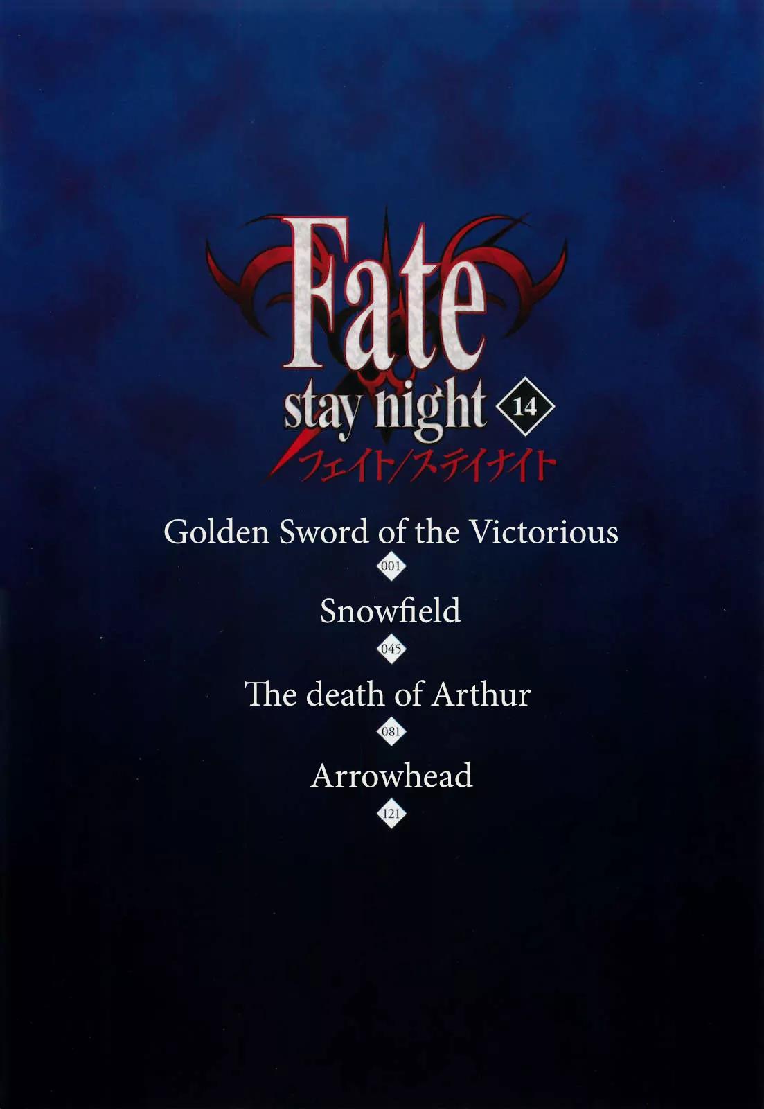 Fate/Stay Night Chapter 60 page 9 - Chapter 60: Golden Sword of the Victorious