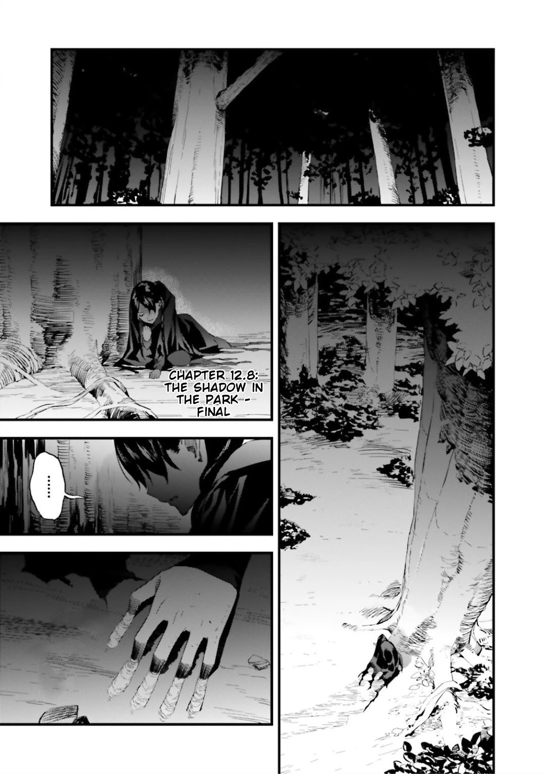 Fate/Strange Fake Chapter 12.8 page 3 - Chapter 12.8: The Shadow in the Park - Final