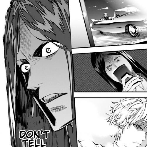 Fate/Strange Fake Chapter 12.9: Two Archers and.... cover