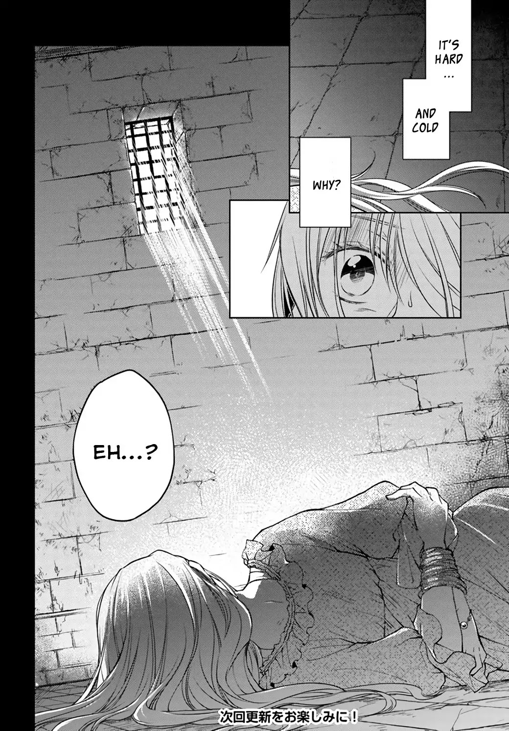 Fiancée of the Wizard Chapter 21.1 page 29 - Chapter 21.1 - 21.4: Reason Behind Her Tears