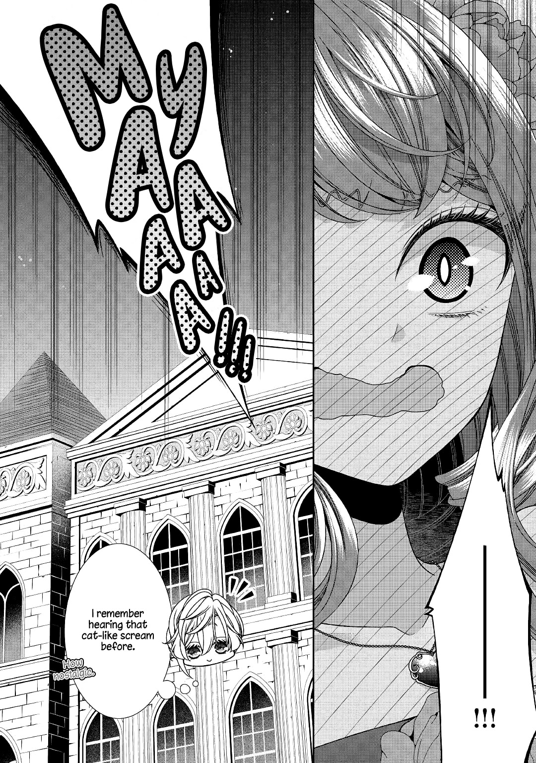 Fiancée’s Observation Log of the Self-proclaimed Villainess Chapter 26 page 29 - Chapter 26
