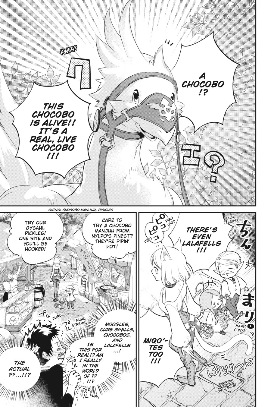 Final Fantasy: Lost Stranger Chapter 1 page 26 - Chapter 1: Prelude Rebirth