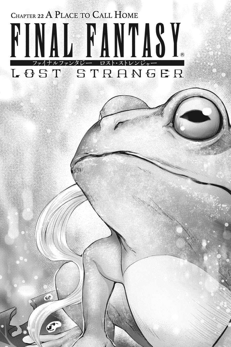 Final Fantasy: Lost Stranger Chapter 22 page 2 - Chapter 22