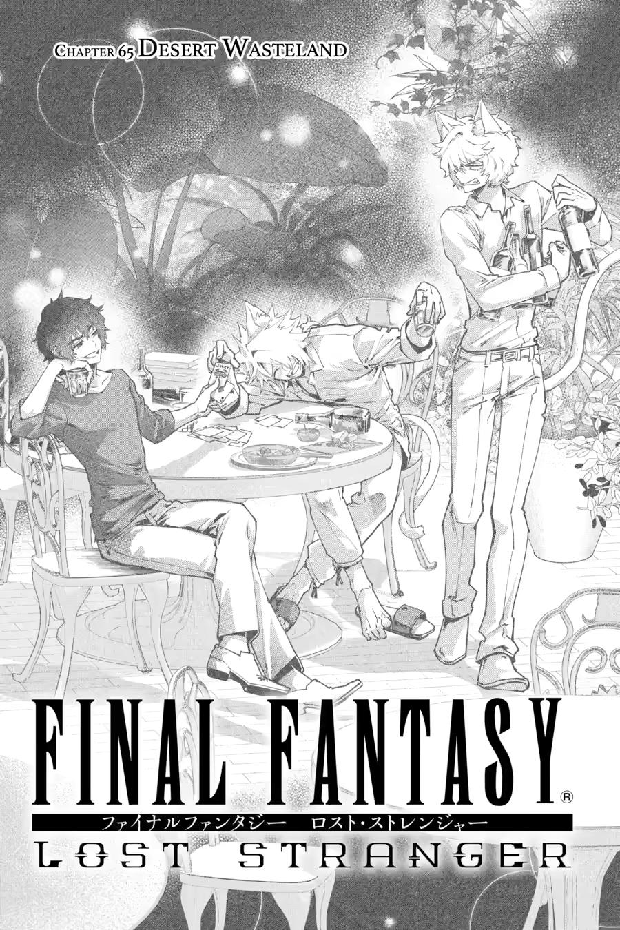 Final Fantasy: Lost Stranger Chapter 65 page 3 - Chapter 65