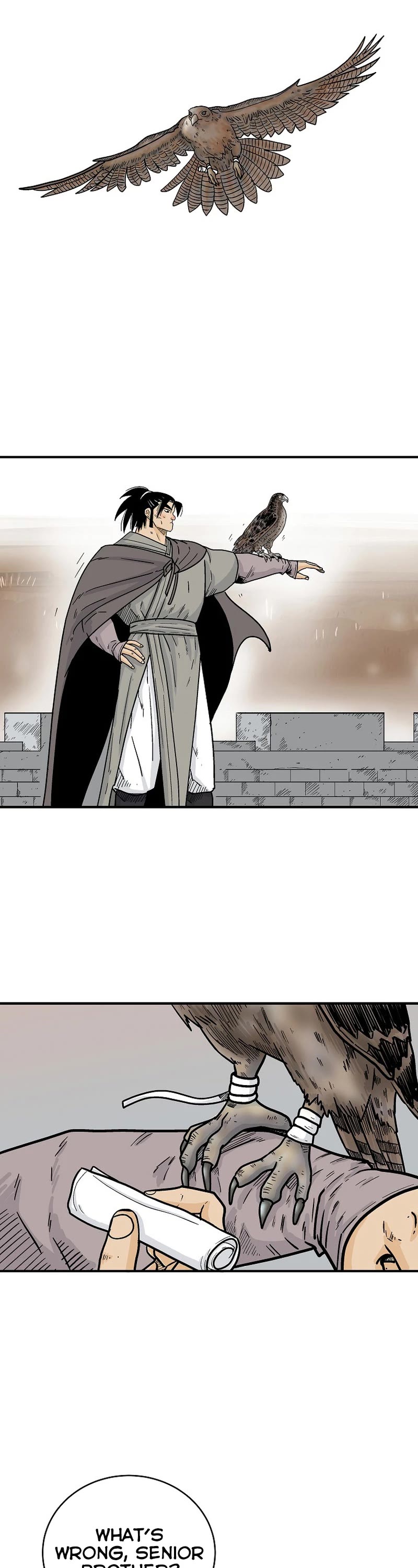 Fist Demon of Mount Hua Chapter 168 page 29 - Chapter 168