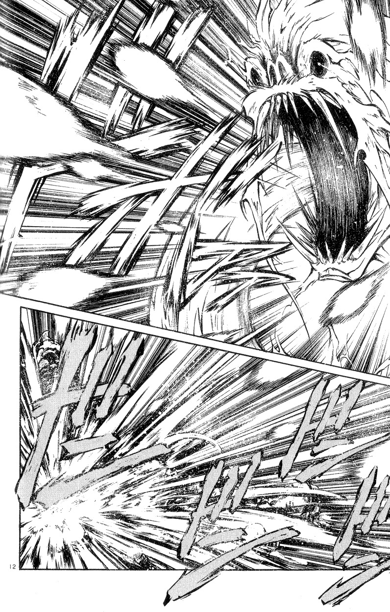 Flame of Recca Chapter 194 page 11 - Chapter 194: The Voice of Tendou Jigoku