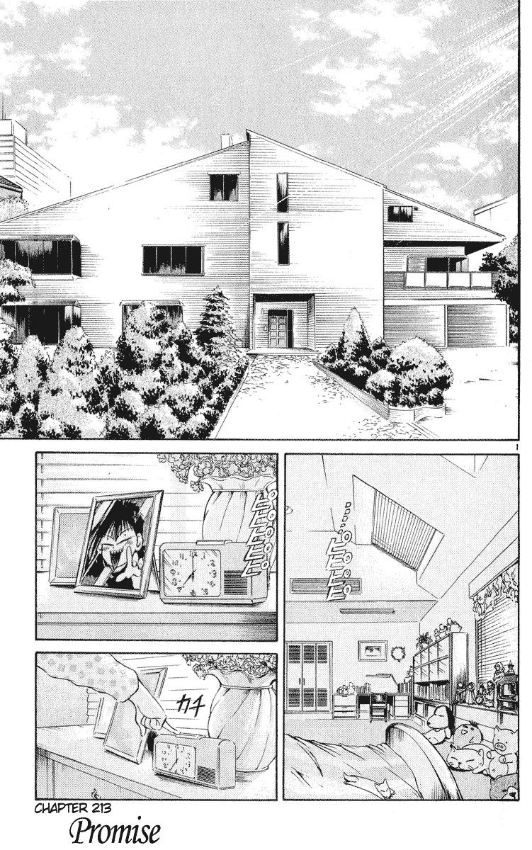 Flame of Recca Chapter 213 page 1 - Chapter 213: Promise