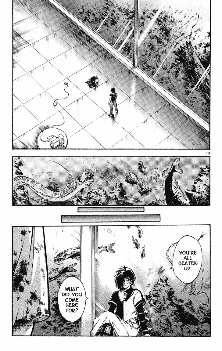 Flame of Recca Chapter 307 page 13 - Chapter 307: -Final Battle- 9th Fight/ Recca VS Aoi 4 ~ The Affirmation of One's Existence