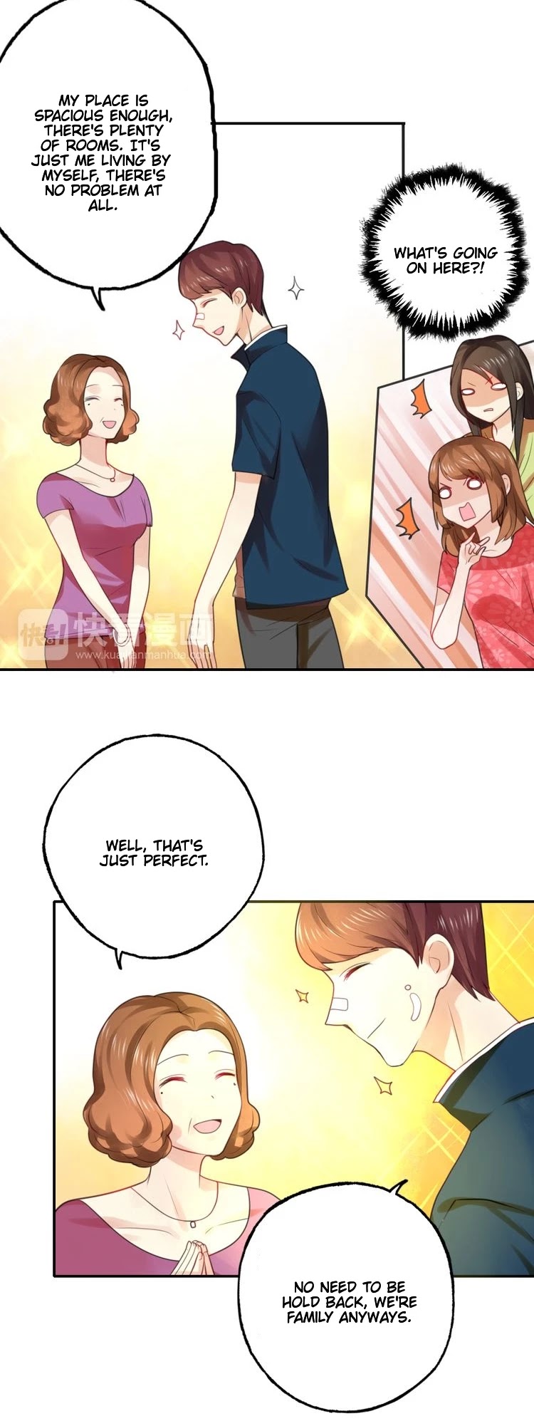 Flirt with a Prince Chapter 11 page 17 - Chapter 11: The Queen Mother Has Misunderstood