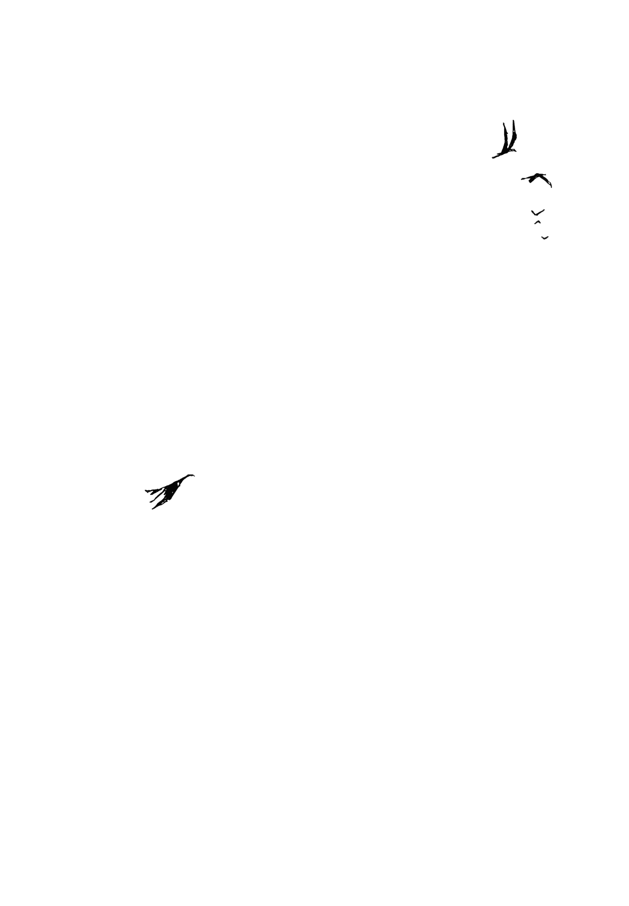 Flower (MATSUMOTO Taiyou) Chapter 0.2 page 71 - Chapter 0 v2