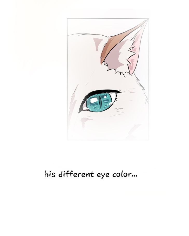 Fluffy Boyfriend Chapter 11 page 45 - Chapter 11