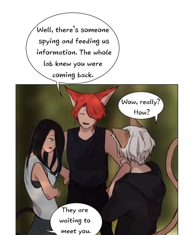 Fluffy Boyfriend Chapter 19 page 38 - Chapter 19