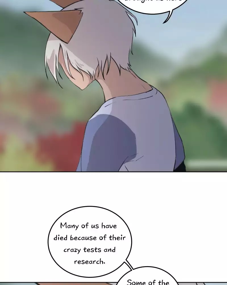 Fluffy Boyfriend Chapter 28 page 33 - Chapter 28: Episode 26