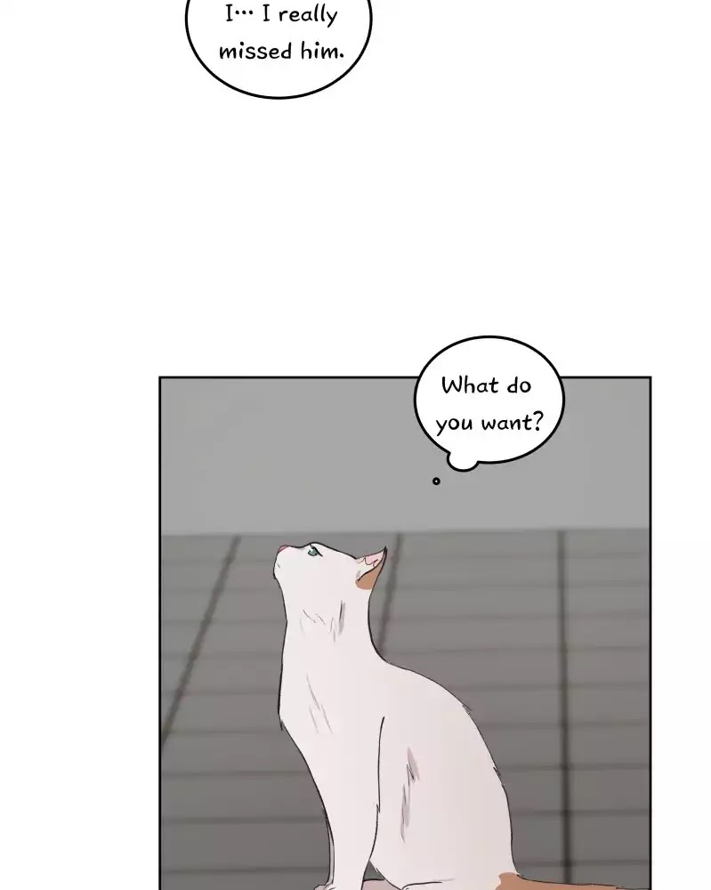 Fluffy Boyfriend Chapter 30 page 45 - Chapter 30: Episode 28