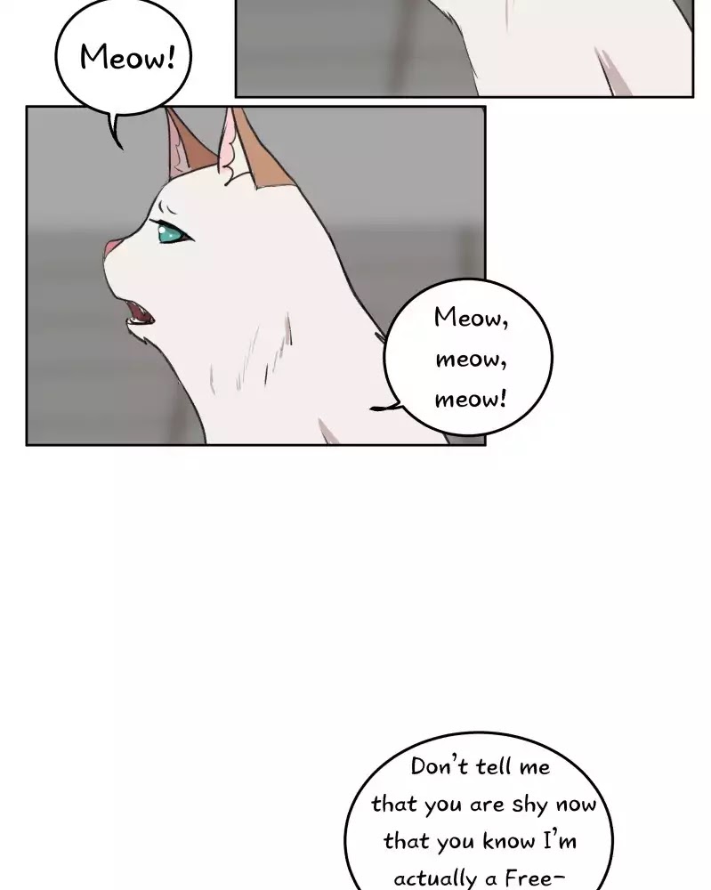 Fluffy Boyfriend Chapter 30 page 48 - Chapter 30: Episode 28