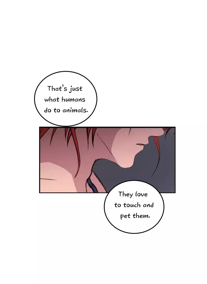 Fluffy Boyfriend Chapter 33 page 29 - Chapter 33: Episode 31