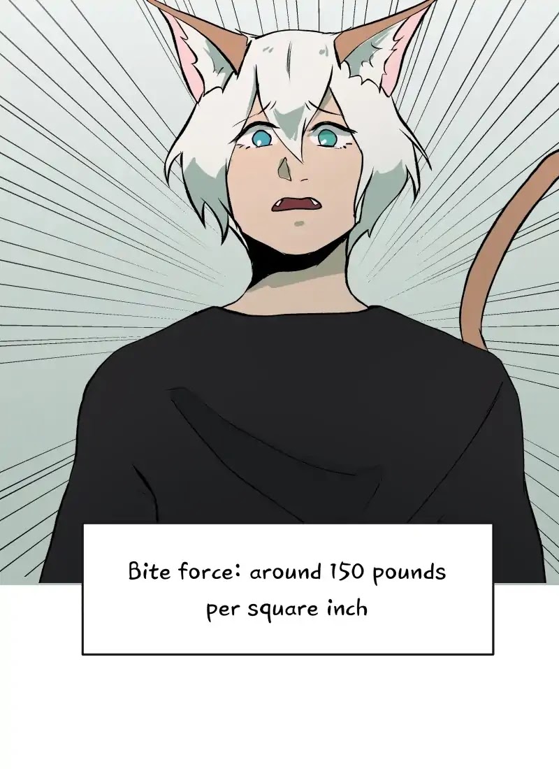 Fluffy Boyfriend Chapter 53 page 28 - Chapter 53: Ep.51