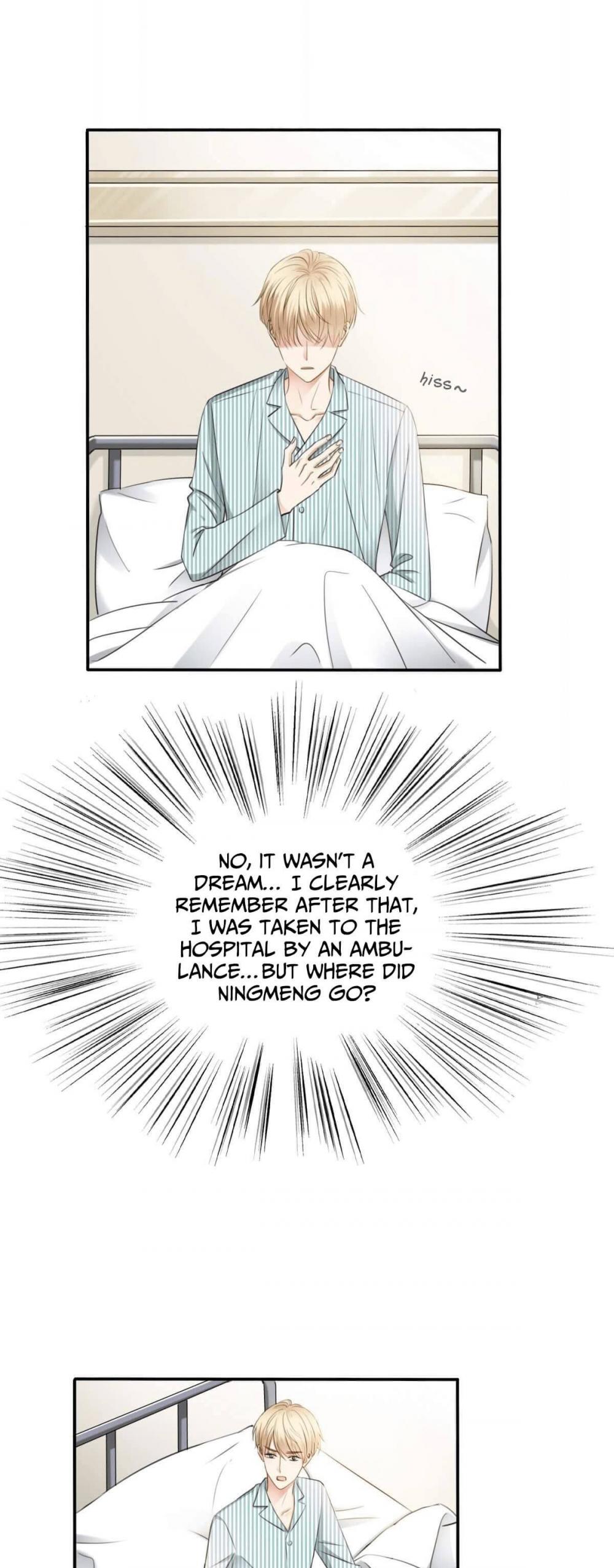 Flying Over a Thousand Mountains to Love You Chapter 110 page 11 - Chapter 110: Ending