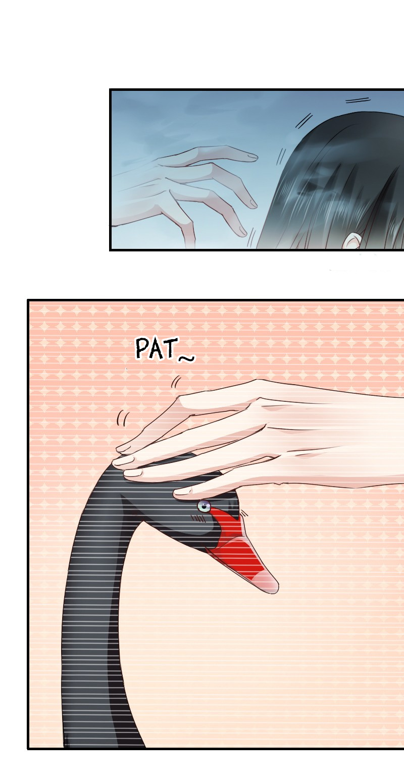 Flying Over a Thousand Mountains to Love You Chapter 7 page 20 - Chapter 7: I feel I should return the ring to that man