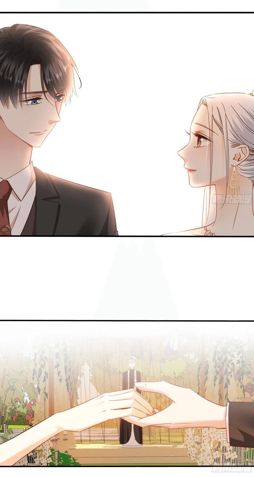 Flying Over a Thousand Mountains to Love You Chapter 86 page 27 - Chapter 86: Wedding, or farewell