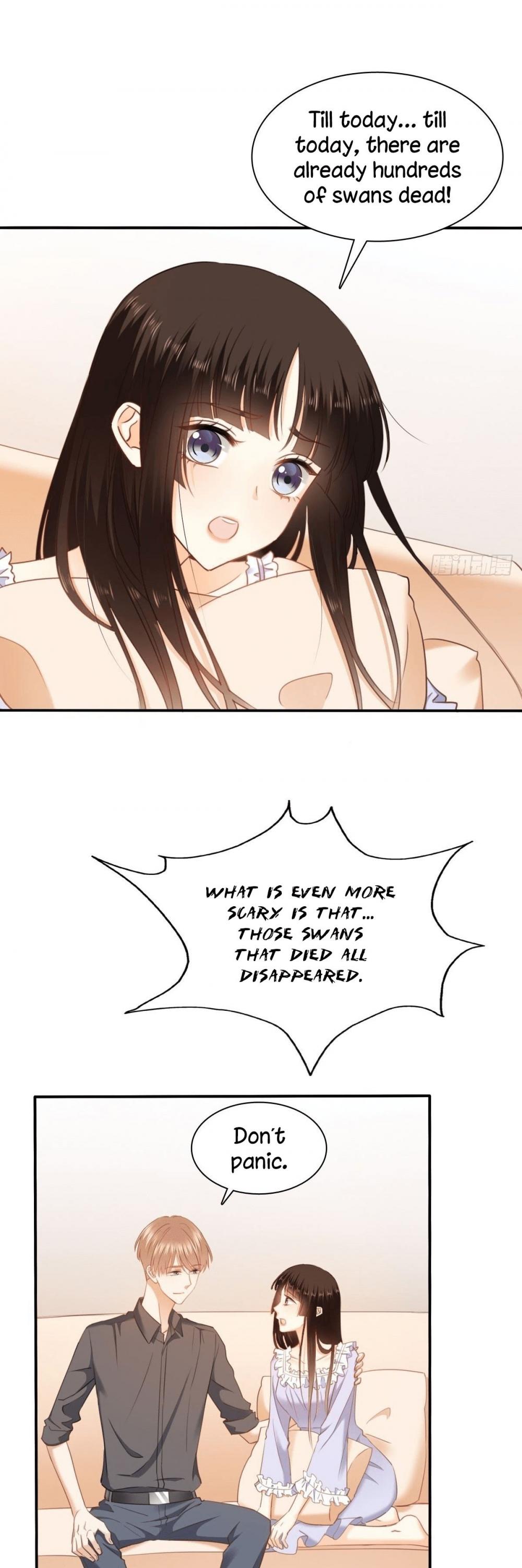 Flying Over a Thousand Mountains to Love You Chapter 94 page 14 - Chapter 94: The missing swans