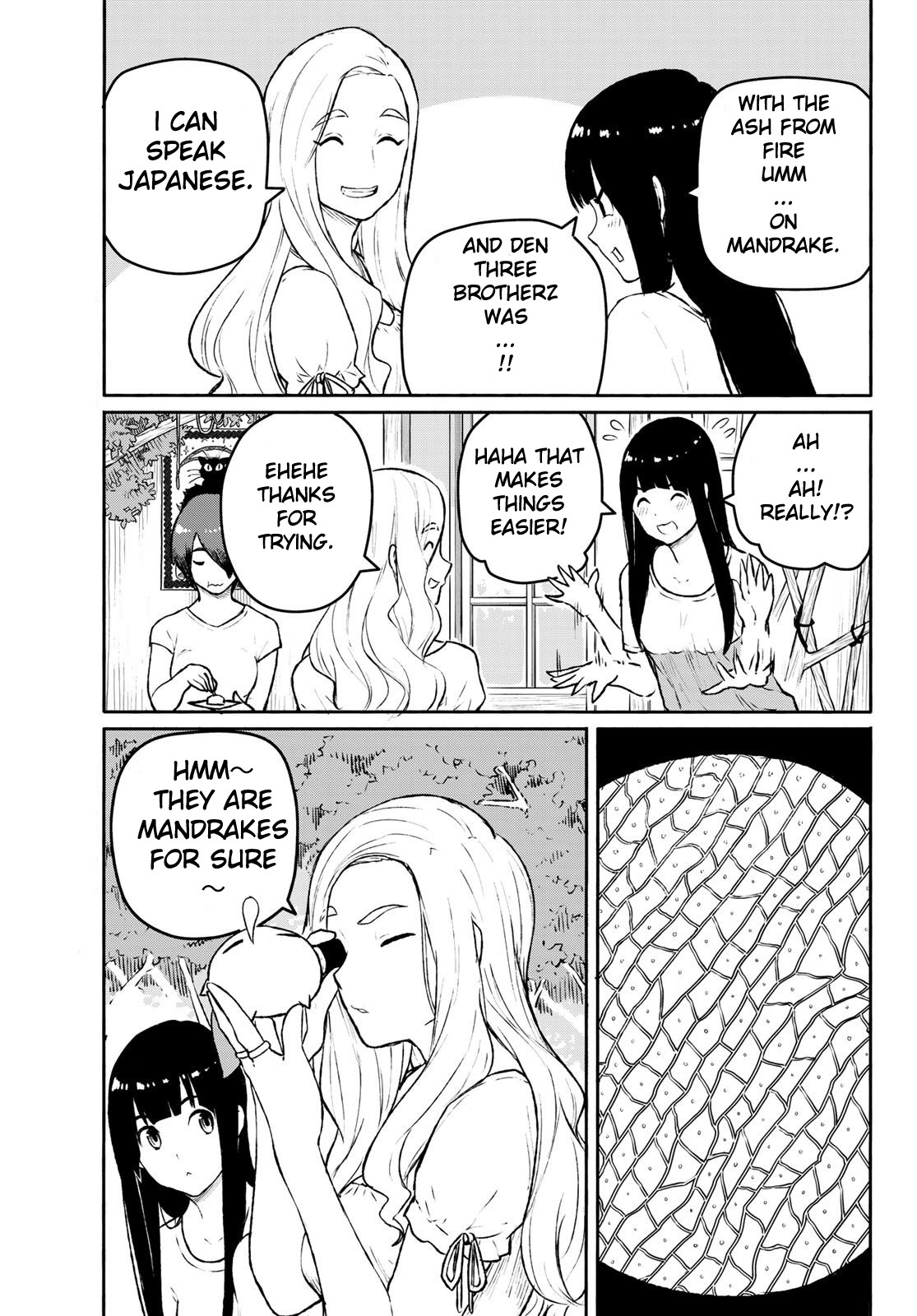 Flying Witch (ISHIZUKA Chihiro) Chapter 53 page 13 - Chapter 53: Mandrake evolution