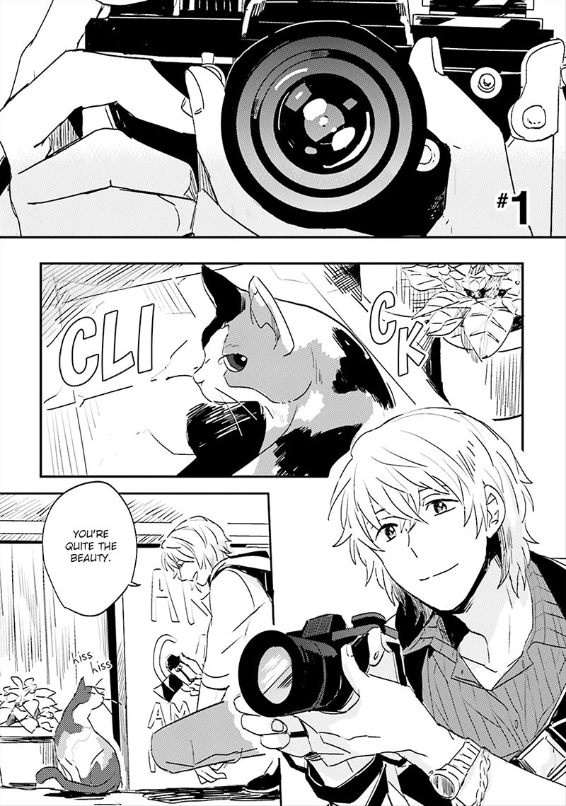 Focus (NISHI Noriko) Chapter 1 page 7 - Chapter 1