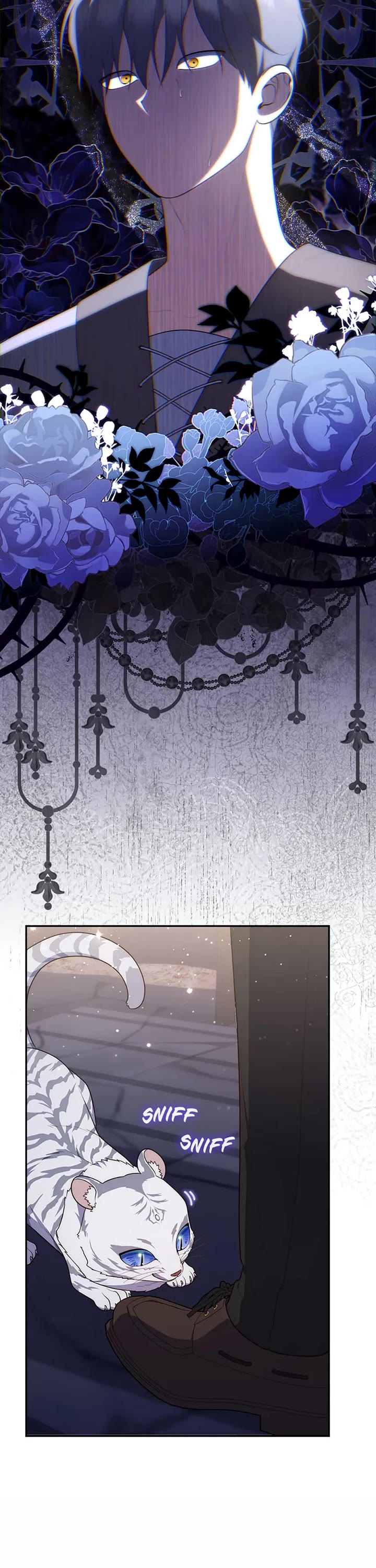 Fortune-Telling Lady Chapter 77 page 37 - Chapter 77
