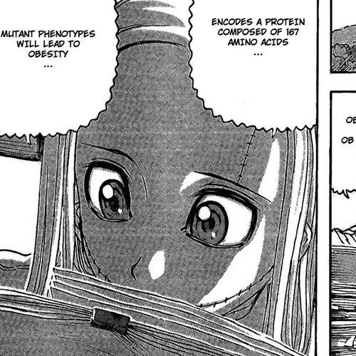 Franken Fran Chapter 46: Antifat Remedy cover