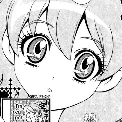 Fresh Precure! Chapter 2 cover
