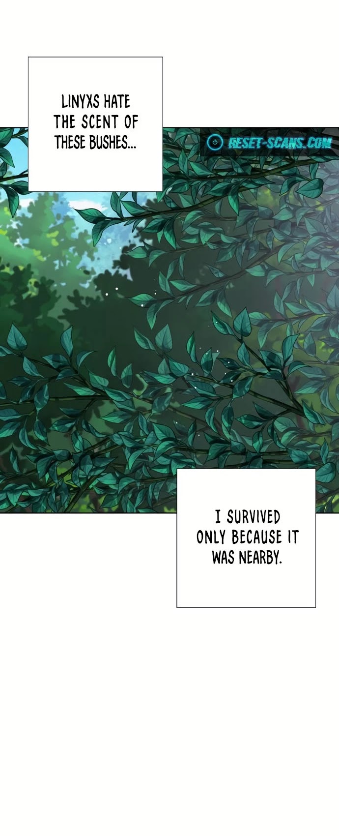 From a Knight to a Lady Chapter 31 page 28 - Chapter 31