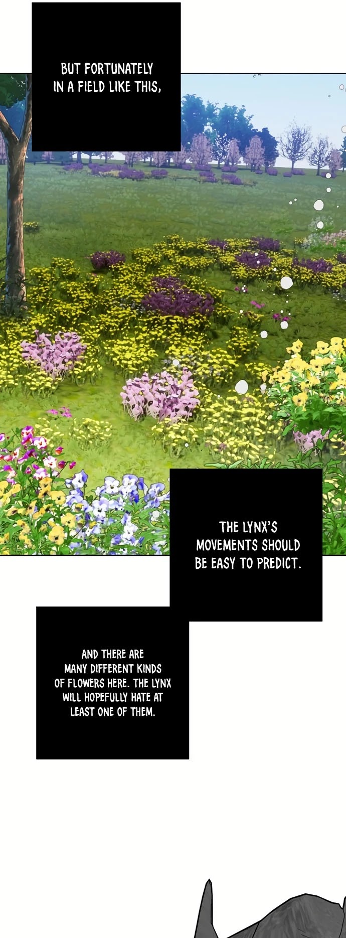 From a Knight to a Lady Chapter 32 page 37 - Chapter 32