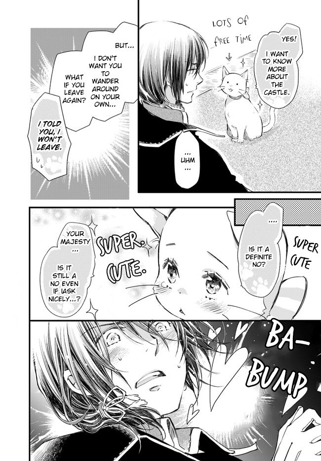 Fukushuu wo Chikatta Shironeko wa Ryuuou no Hiza no jou de Damin wo Musaboru Chapter 14 page 19 - Chapter 14