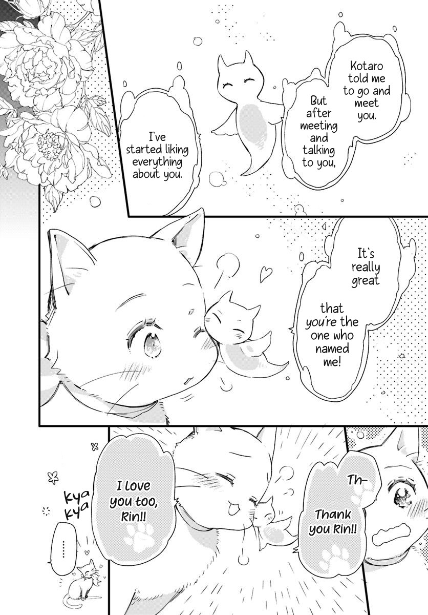 Fukushuu wo Chikatta Shironeko wa Ryuuou no Hiza no jou de Damin wo Musaboru Chapter 15.1 page 25 - Chapter 15.1 - 15.4