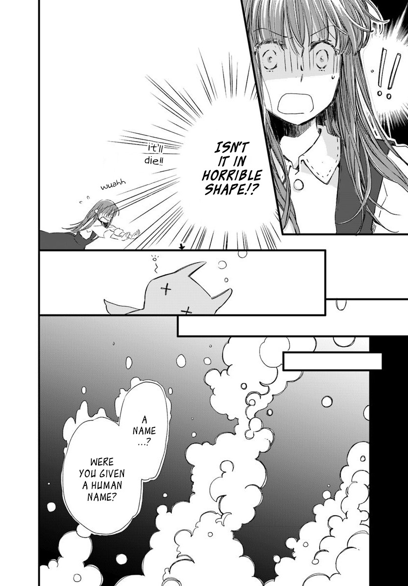 Fukushuu wo Chikatta Shironeko wa Ryuuou no Hiza no jou de Damin wo Musaboru Chapter 15.1 page 8 - Chapter 15.1 - 15.4