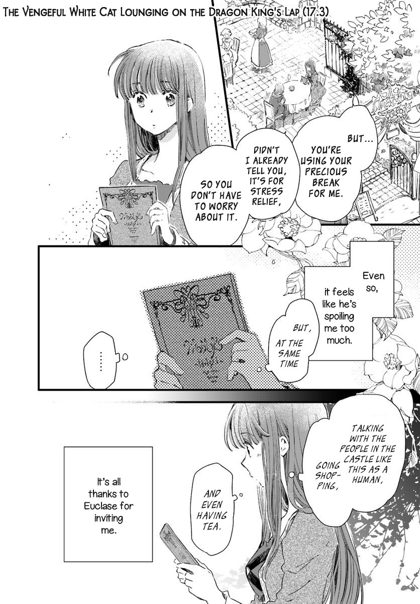 Fukushuu wo Chikatta Shironeko wa Ryuuou no Hiza no jou de Damin wo Musaboru Chapter 17 page 16 - Chapter 17: Girls Only Time