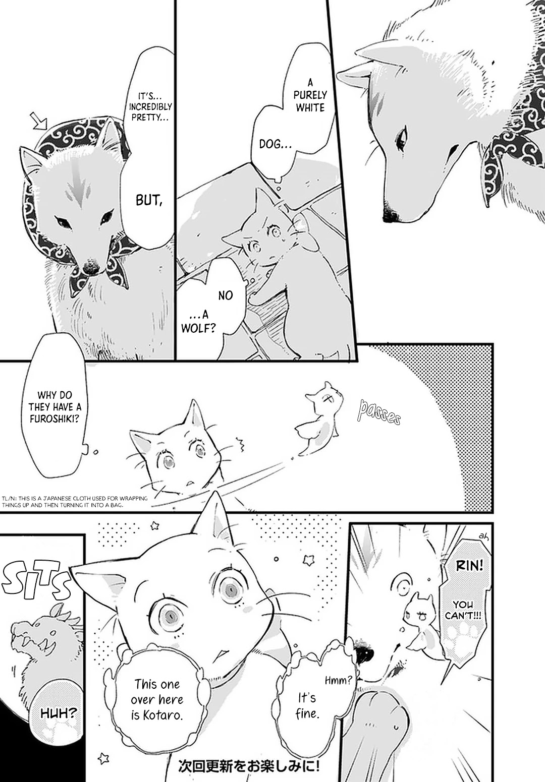 Fukushuu wo Chikatta Shironeko wa Ryuuou no Hiza no jou de Damin wo Musaboru Chapter 19 page 17 - Chapter 19