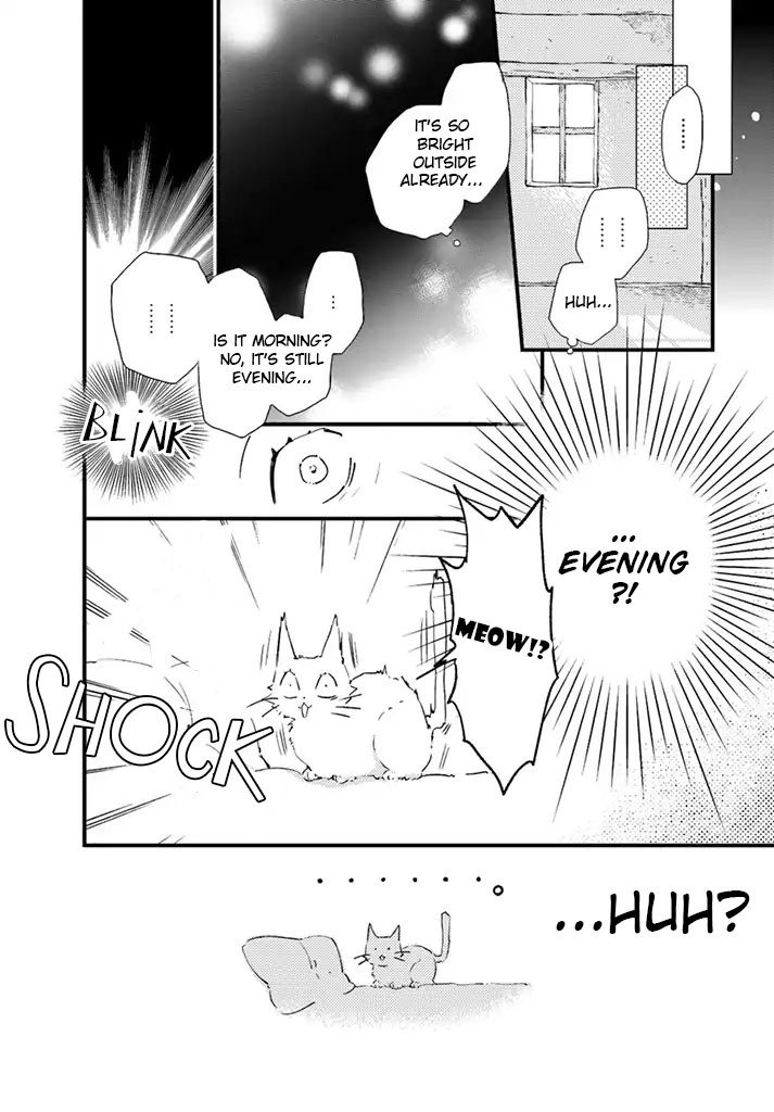 Fukushuu wo Chikatta Shironeko wa Ryuuou no Hiza no jou de Damin wo Musaboru Chapter 5.1 page 19 - Chapter 5.1 - 5.4
