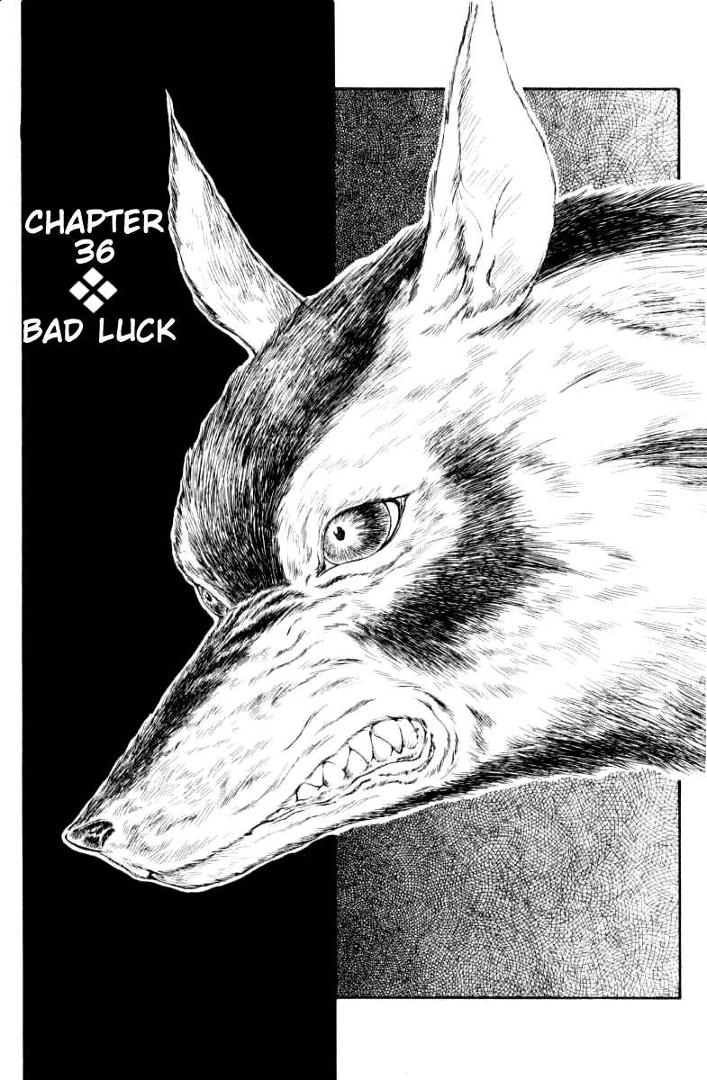 Full Ahead! Coco Chapter 36 page 1 - Chapter 36 : Bad Luck
