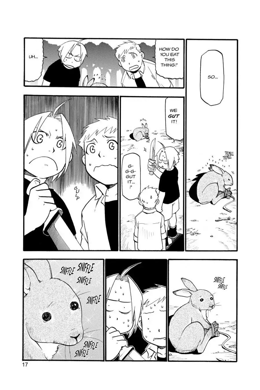 FullMetal Alchemist Chapter 22 page 17 - Chapter 22: The Masked Man