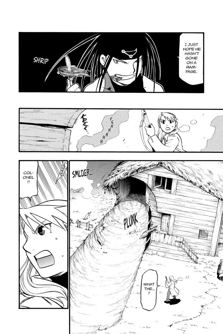 FullMetal Alchemist Chapter 49 page 15 - Chapter 49: A Monster Among Men