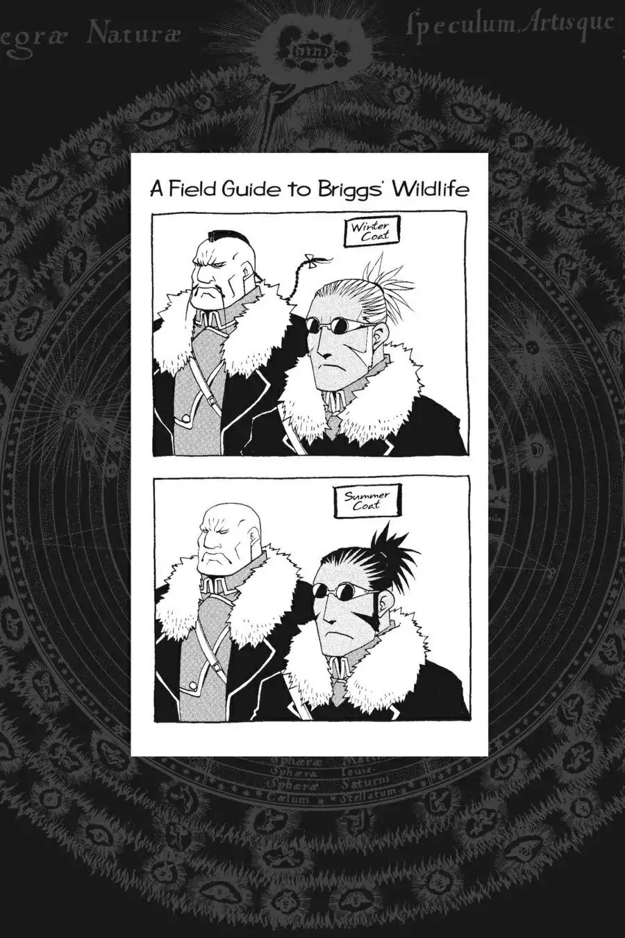 FullMetal Alchemist Chapter 78.6 page 1 - Vol.19 Preview