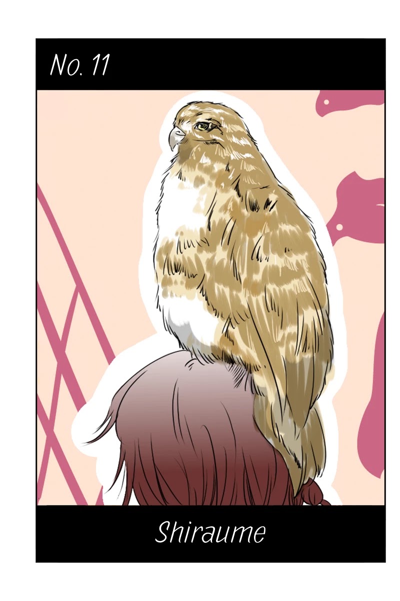 Fundamentals of Light Chapter 11 page 1 - Chapter 11: Shiraume