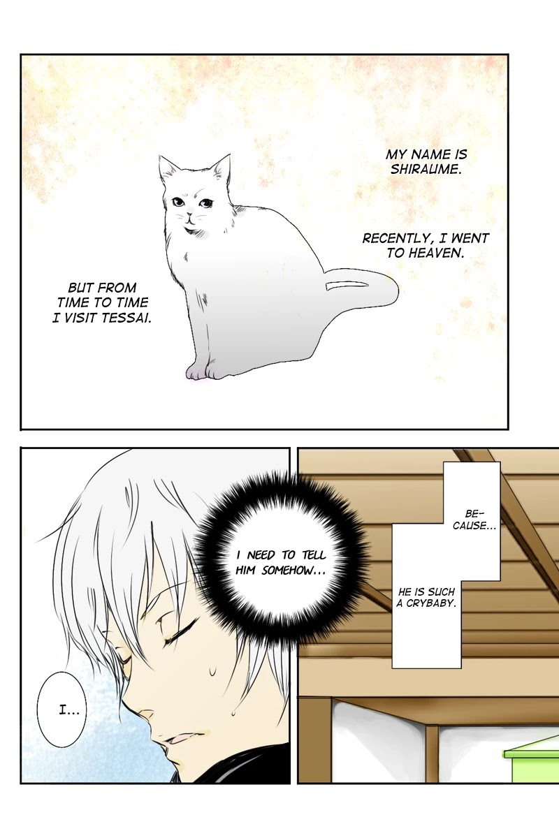 Fundamentals of Light Chapter 11 page 2 - Chapter 11: Shiraume