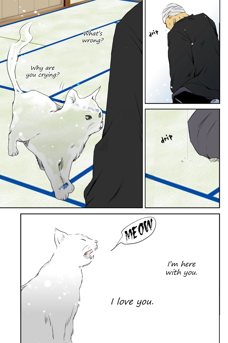Fundamentals of Light Chapter 11 page 5 - Chapter 11: Shiraume